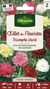 Œillet des Fleuristes Triomphe Varié